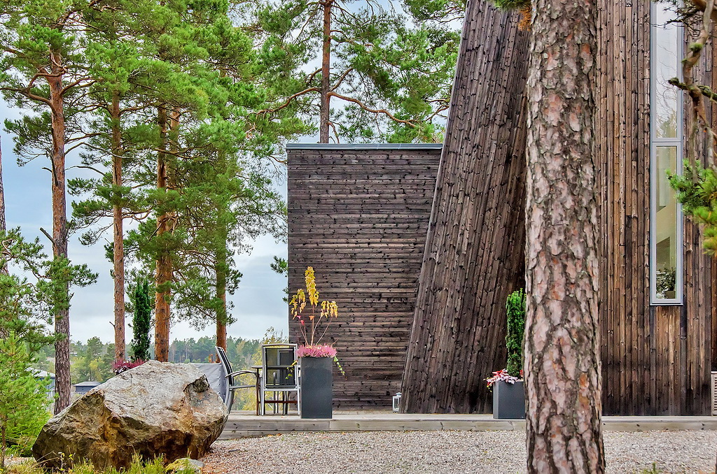 дом в лесу дом в лесу