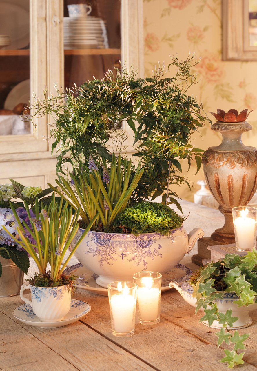 озеленение участка озеленение участка