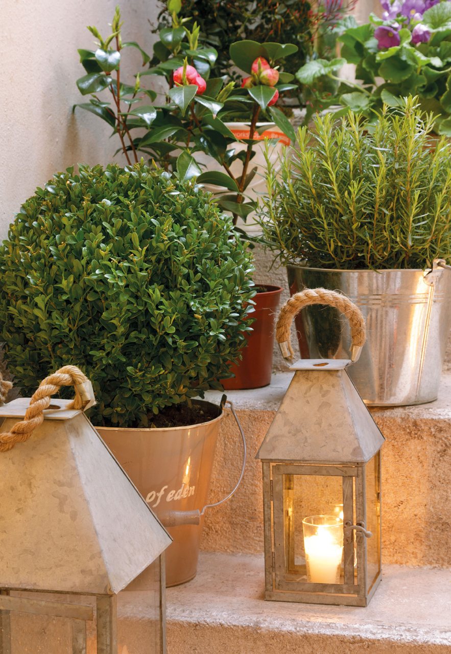 оформление сада оформление сада