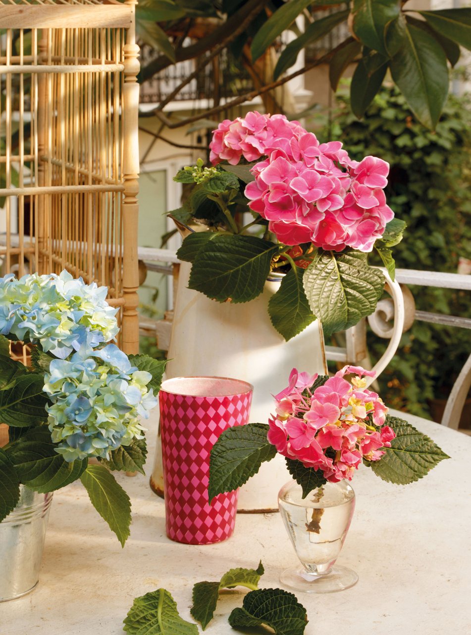 маленький сад своими руками маленький сад своими руками