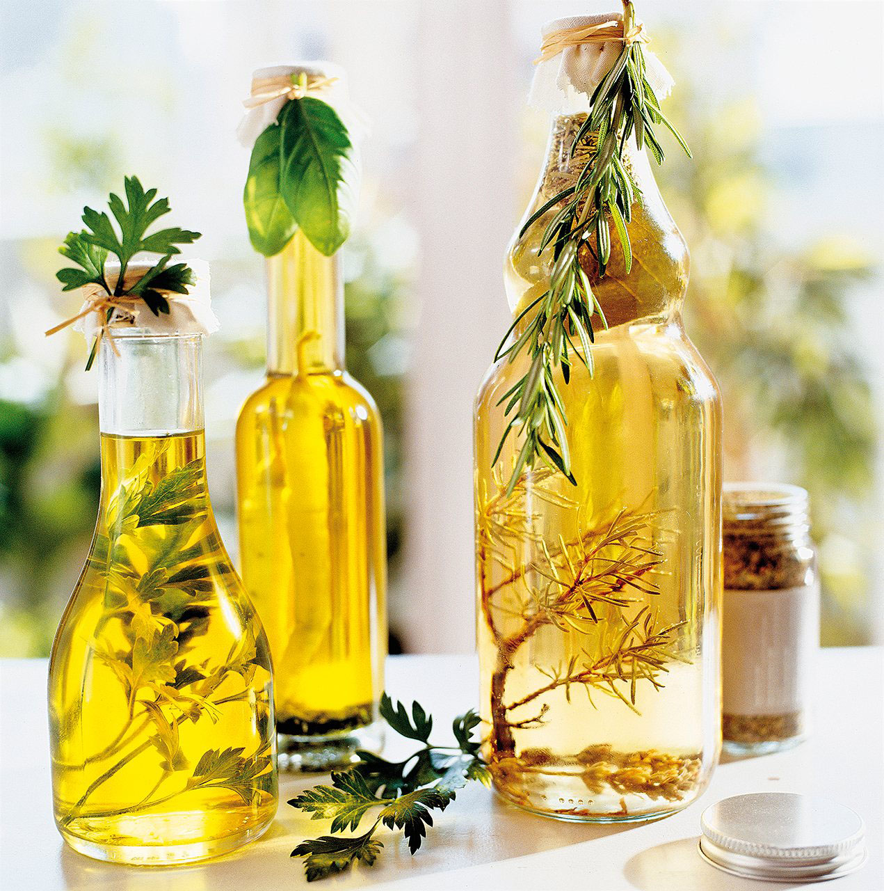 декор сада декор сада