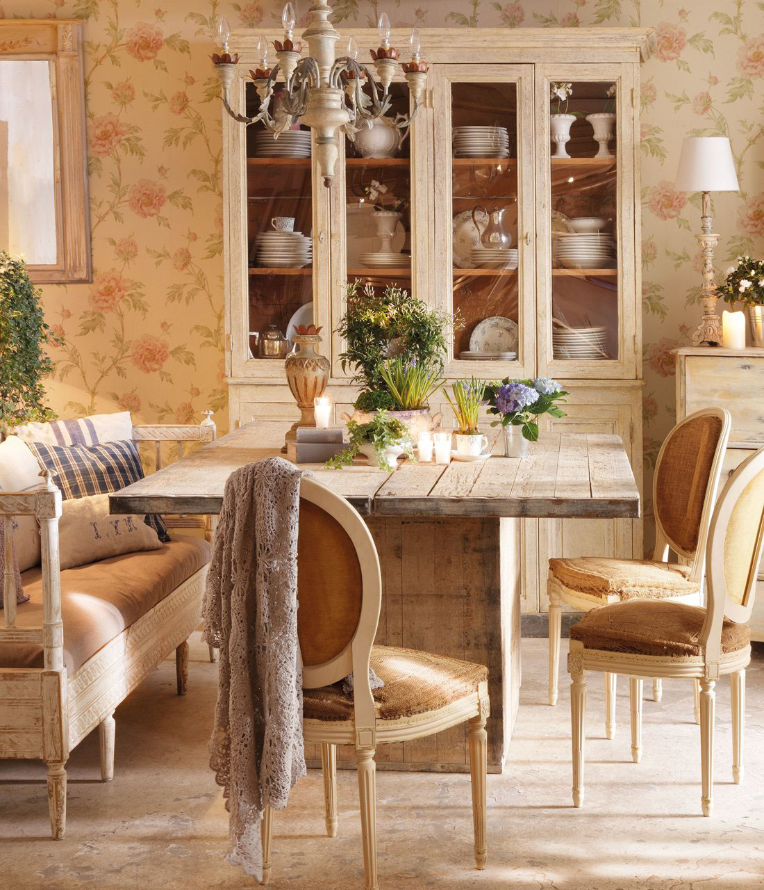 комнатные цветы фото комнатные цветы фото