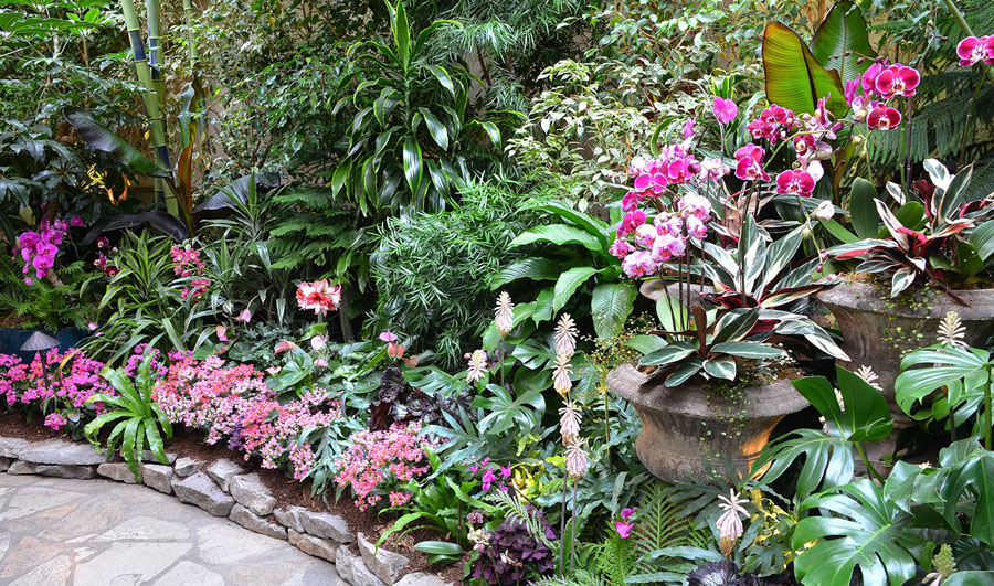 клумба клумба