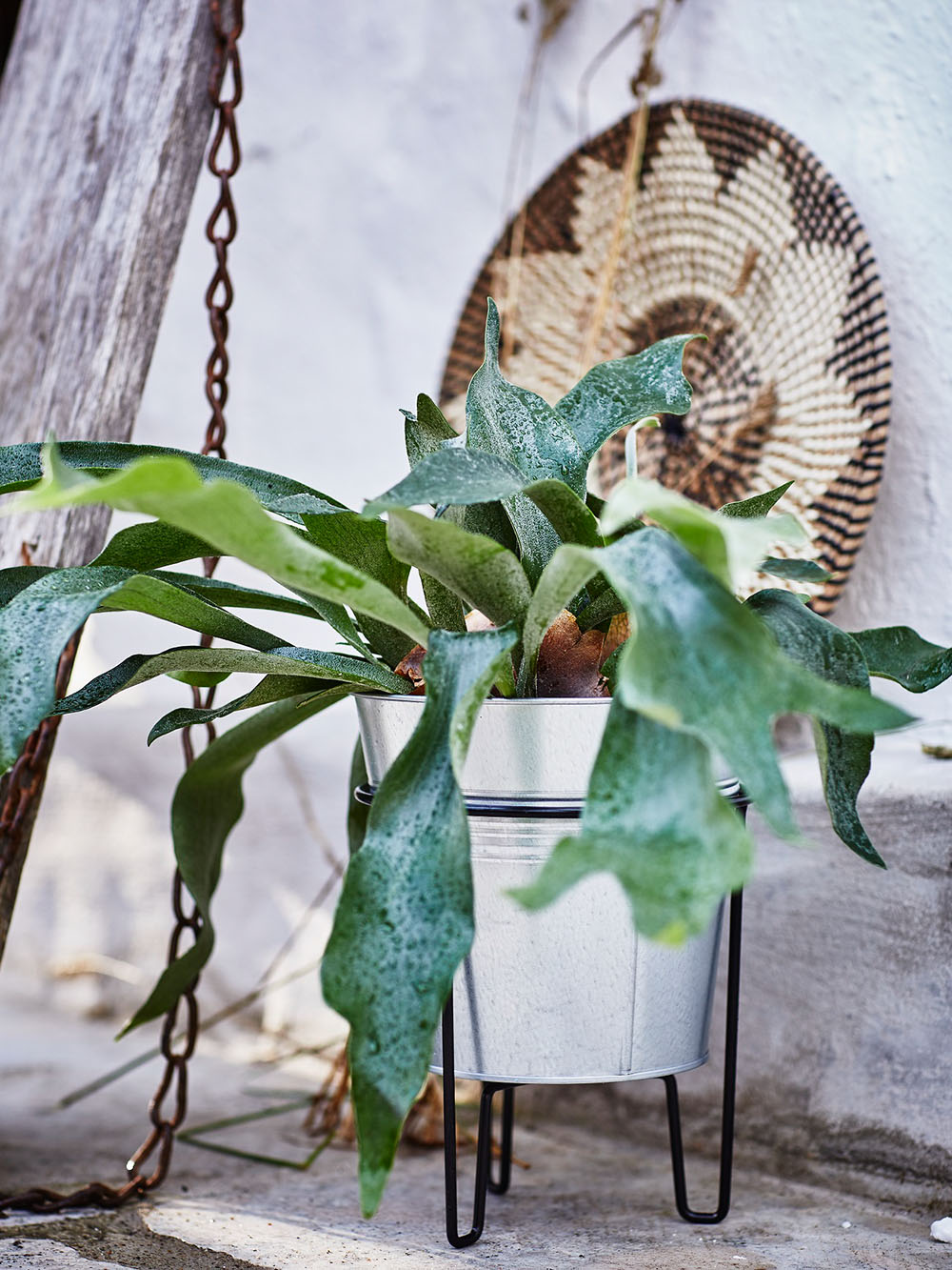 декор для сада декор для сада