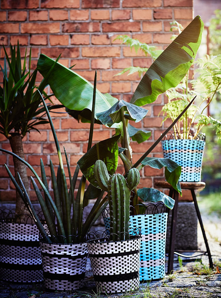 дизайн сада дизайн сада