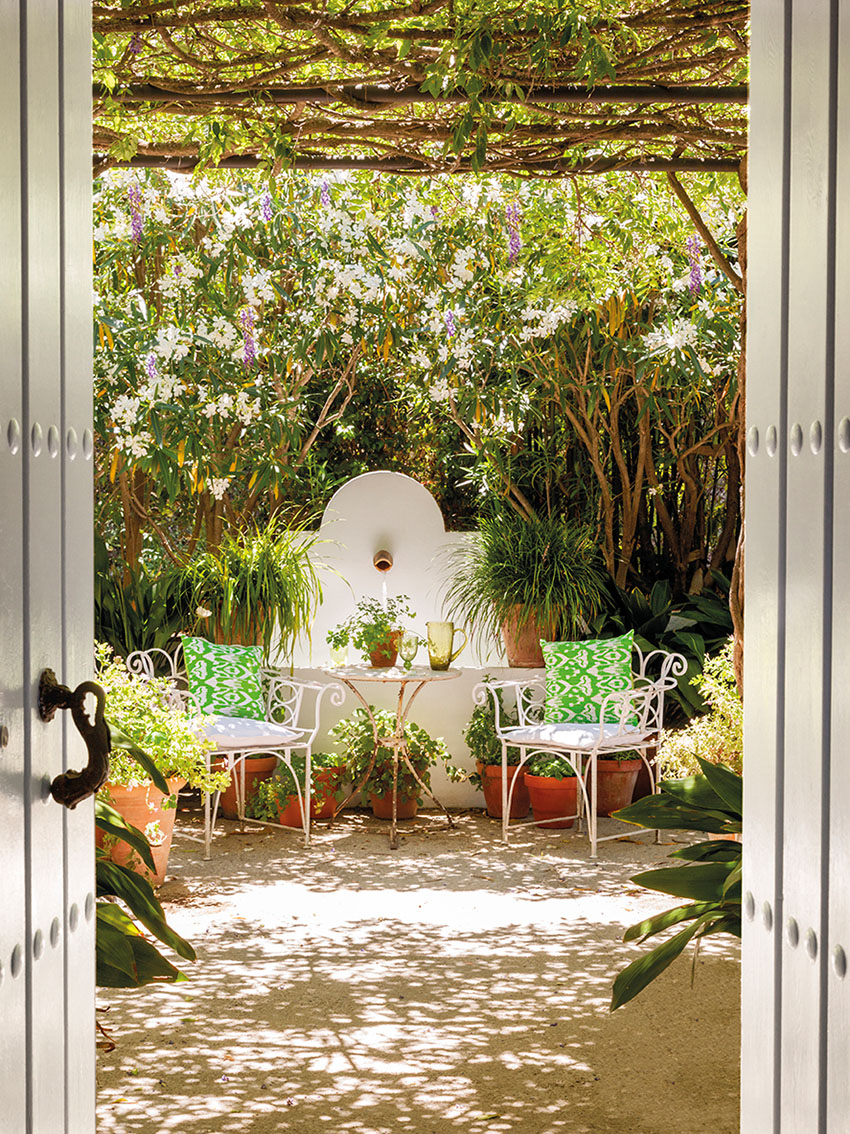 красивый сад