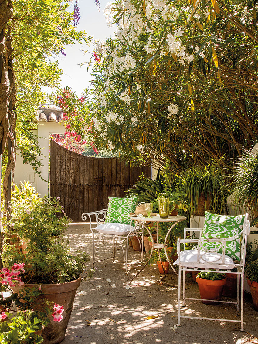 дизайн сада