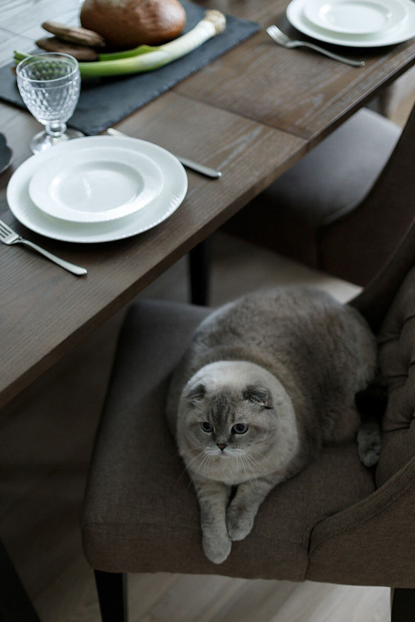 Столовая в квартире Столовая в квартире