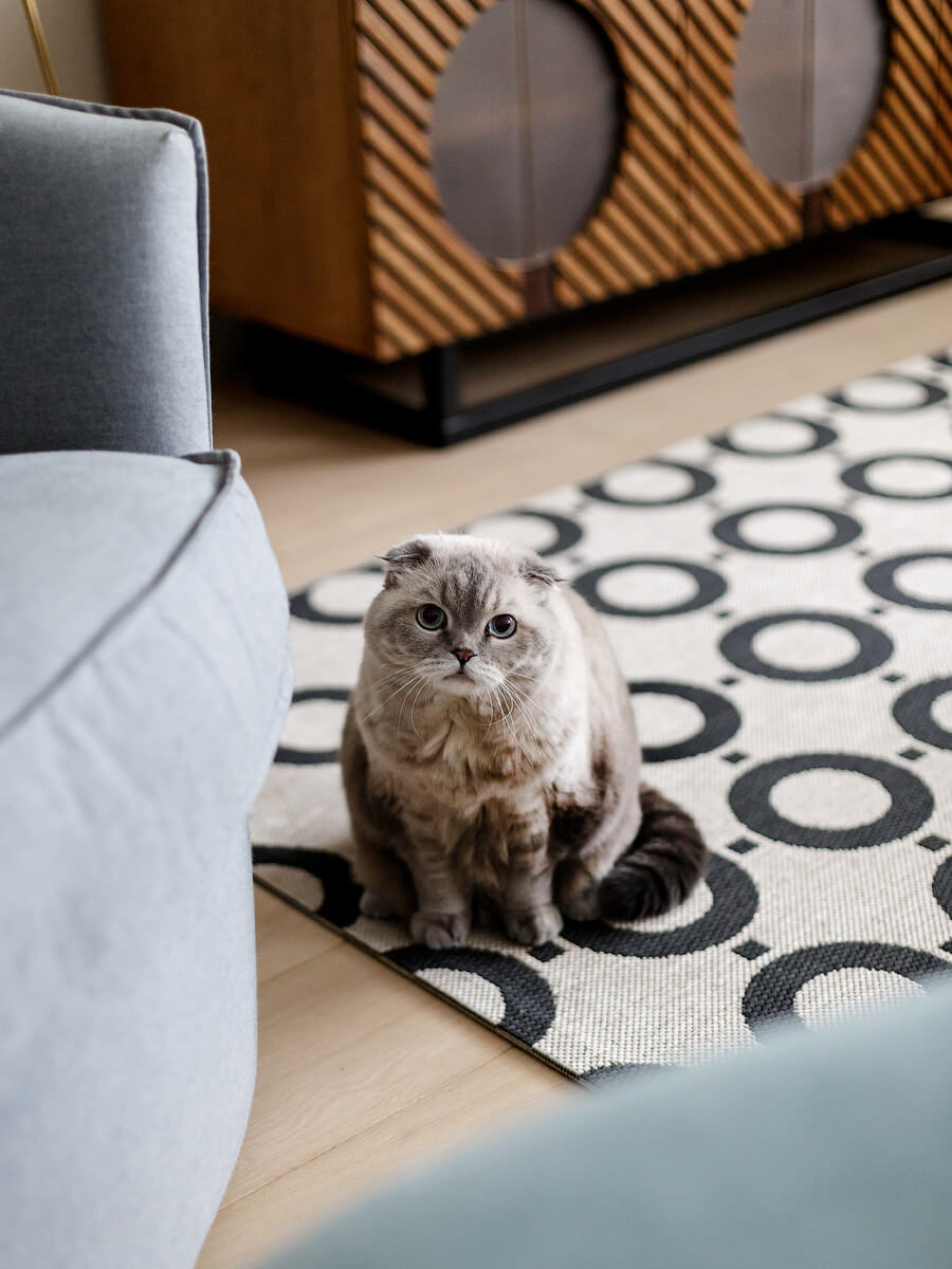 Ковер в современном дизайне Ковер в современном дизайне