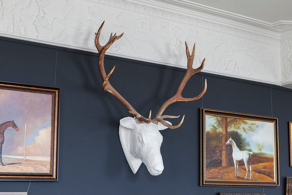 Рога на стене