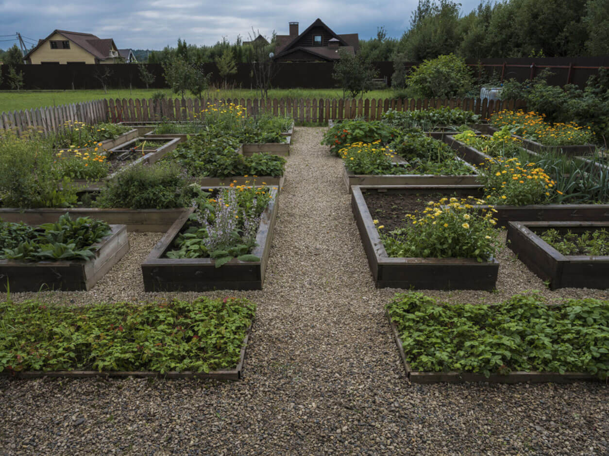 Ландшафтный дизайн дачи Ландшафтный дизайн дачи