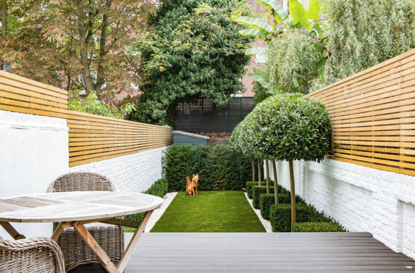 дизайн дачного участка своими руками фото