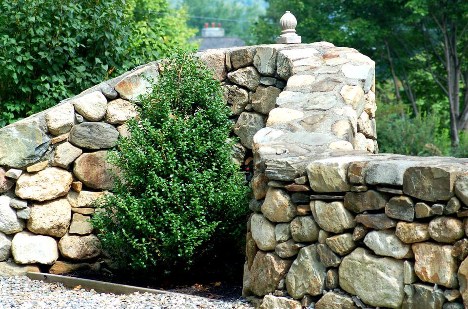 Идеи для сада Идеи для сада